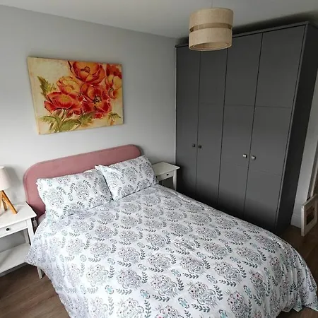 Entire 3bd 15 Minutes From Dublin Airport *